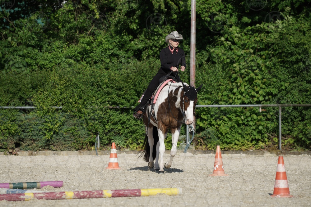 s_APF06980.jpg